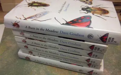 Share your love of reading by joining a book group