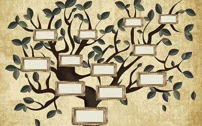 Find your roots with our new genealogy course