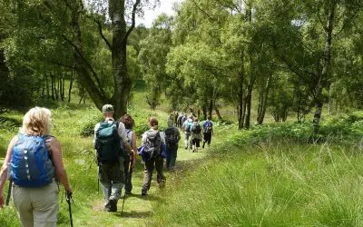Put a spring in your step – join the Kinver Library Walk on 6 April