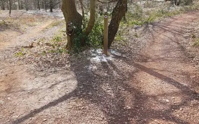 Ramblings of an old Rambler