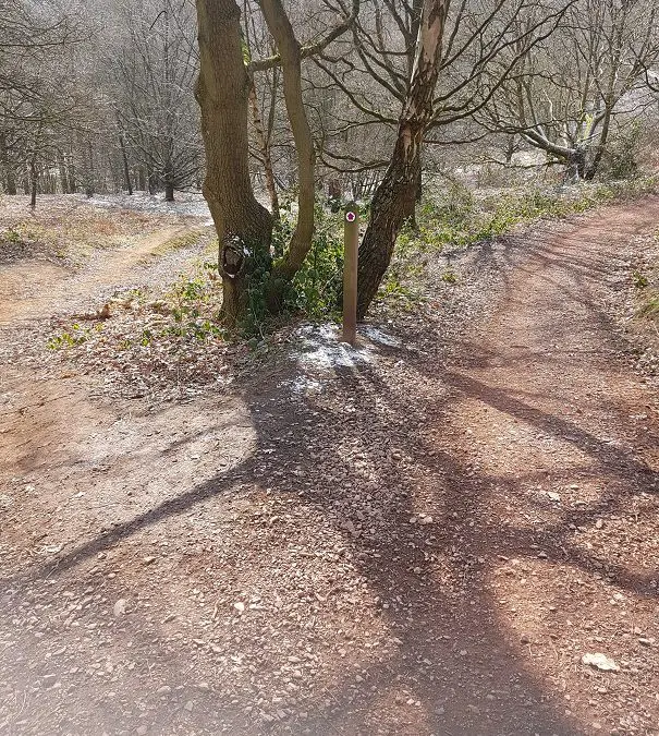 Ramblings of an old Rambler