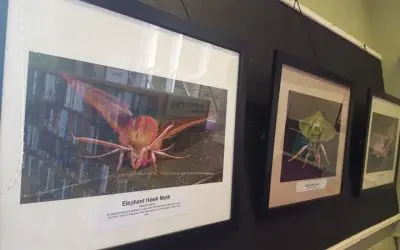 Library Photographic Exhibition Celebrates Launch of Kinver Creative Camera Collective