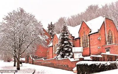 Christmas at the Library