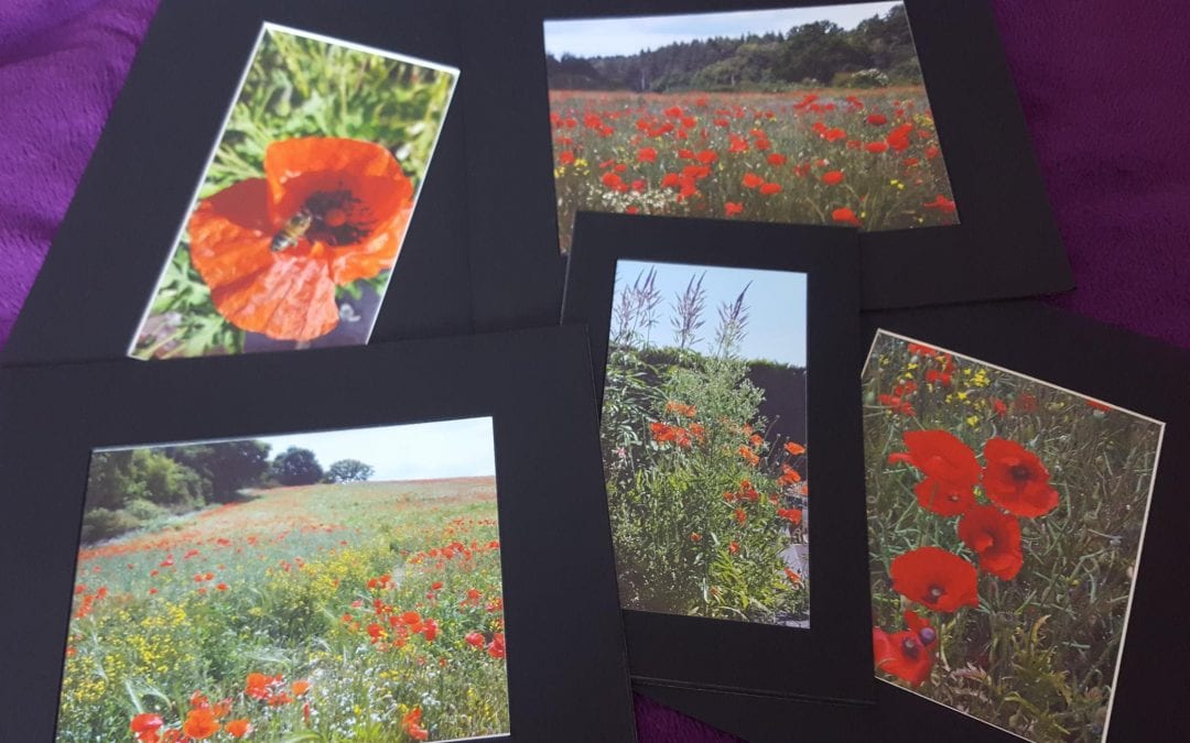 Take part in our Commemorative Poppy Exhibition