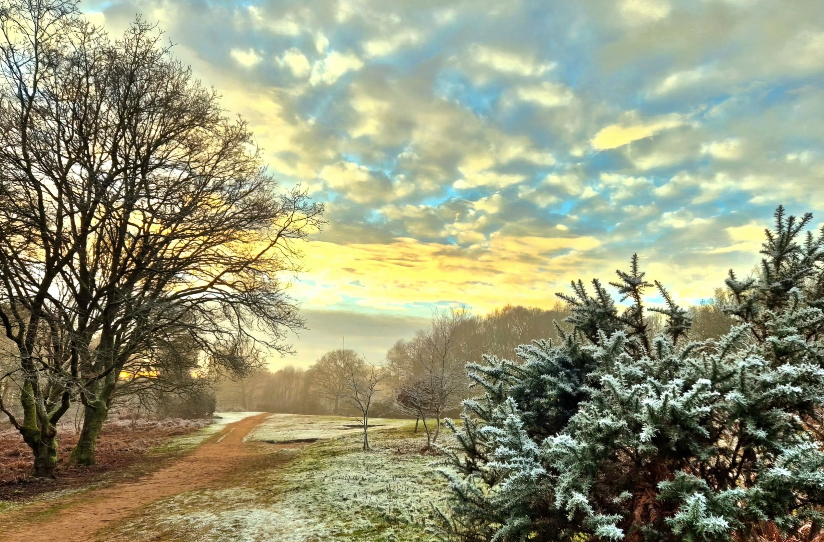 Frosty walks on Kinver Edge