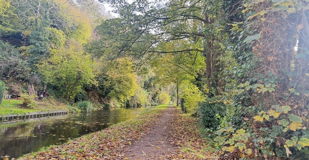 Canal walk ( was on BBC weather watch) spring