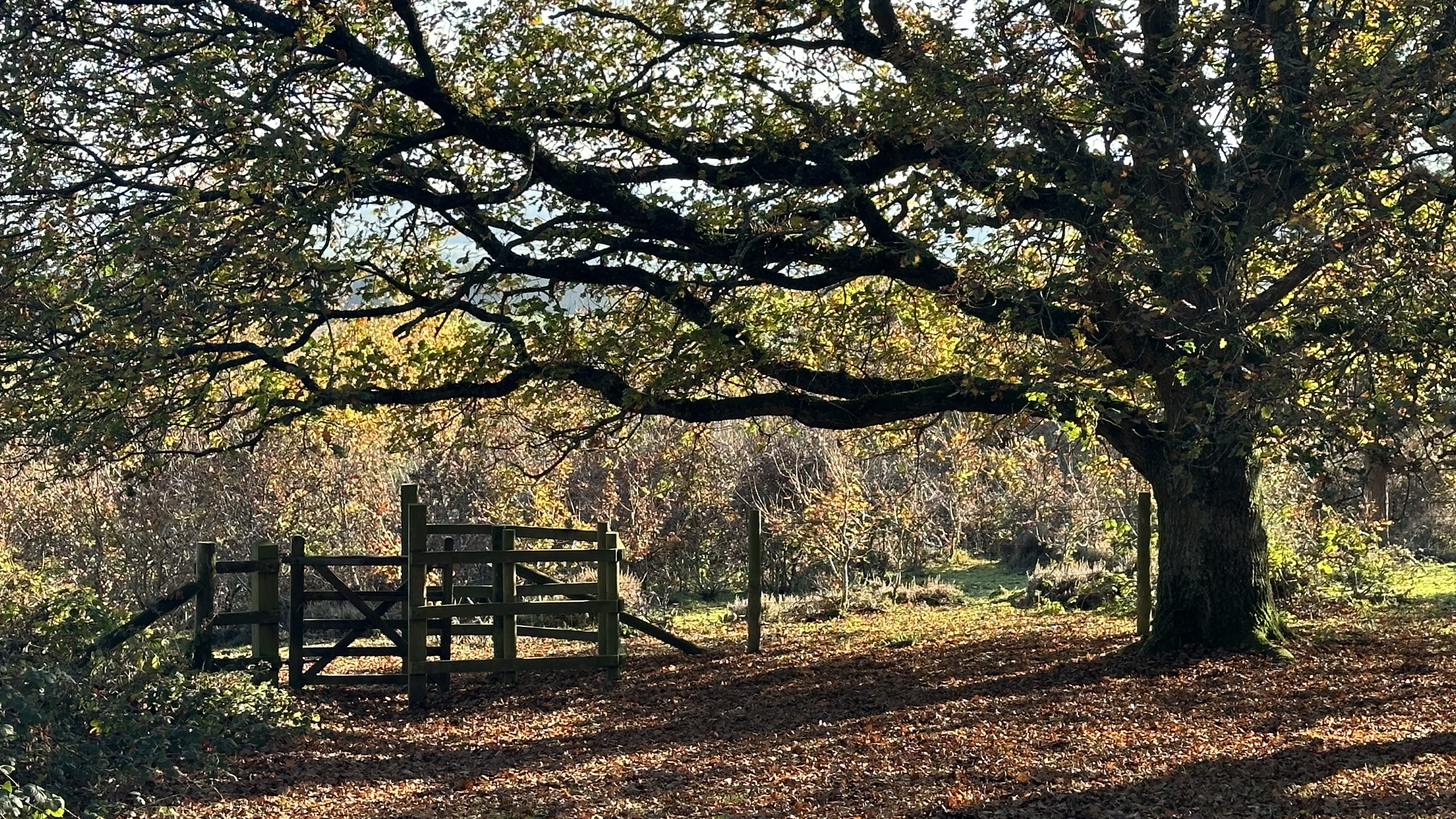 Gate at the top