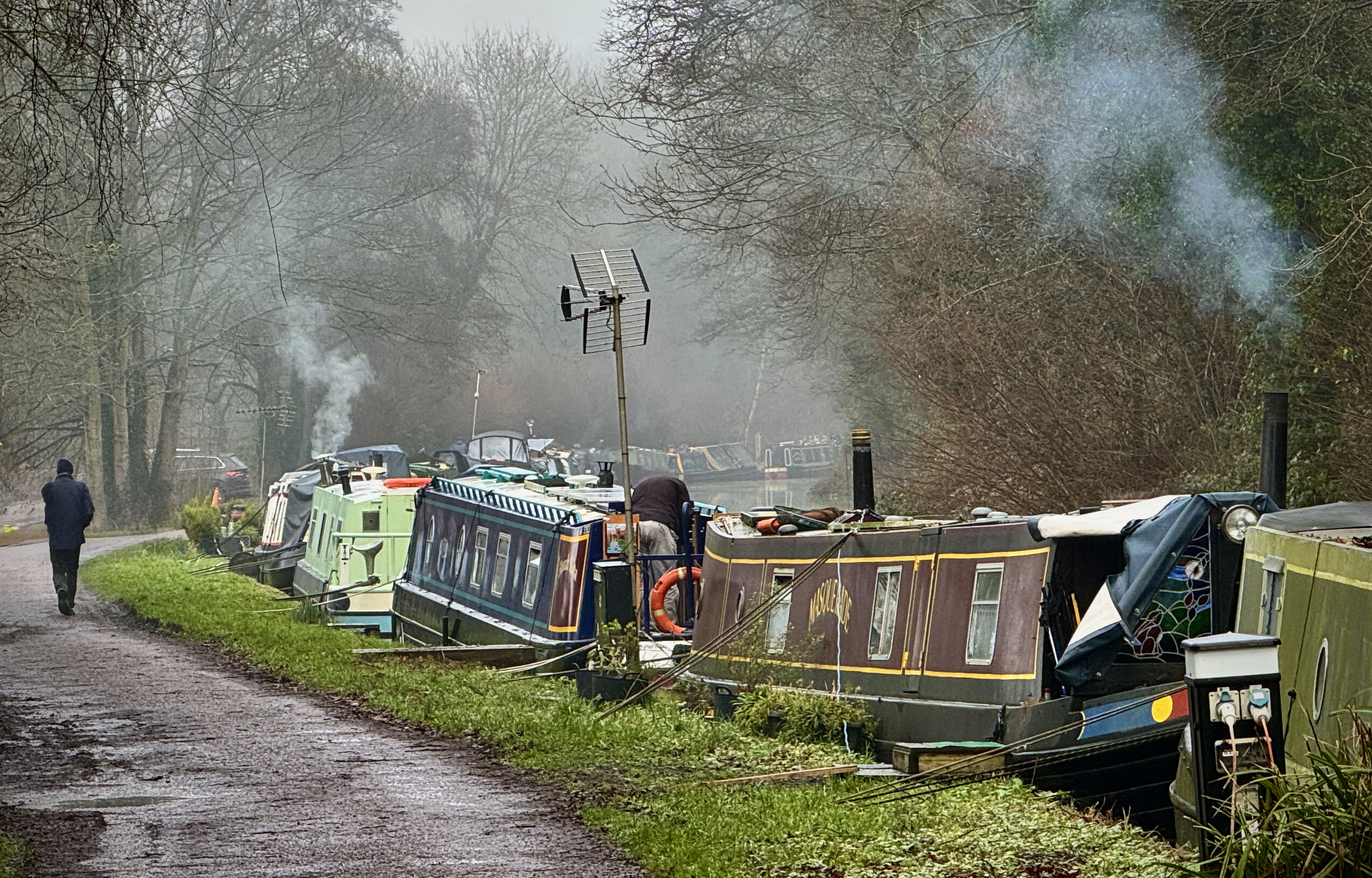 Murky January morning on the canal.