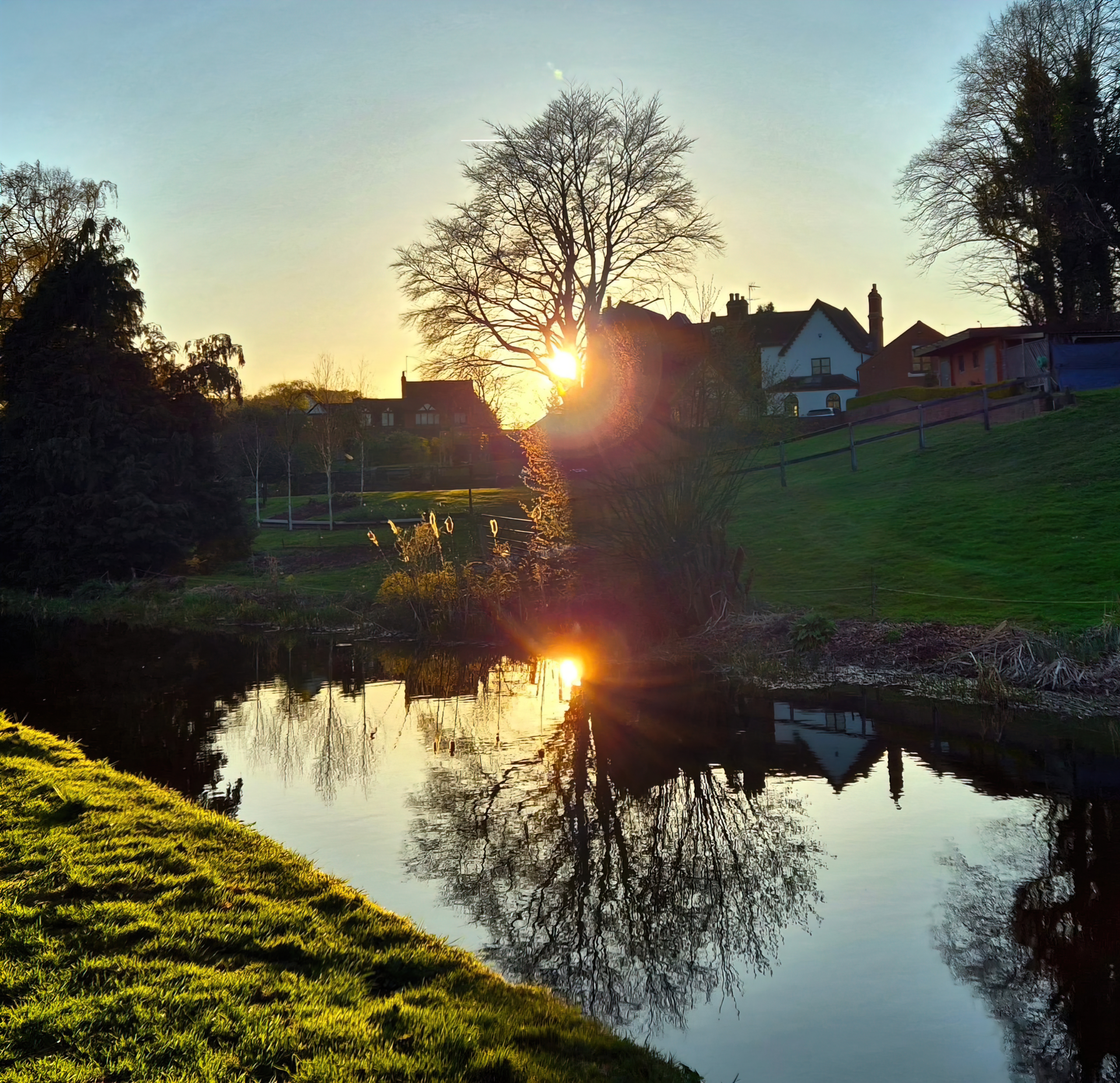 Sunny evening reflections