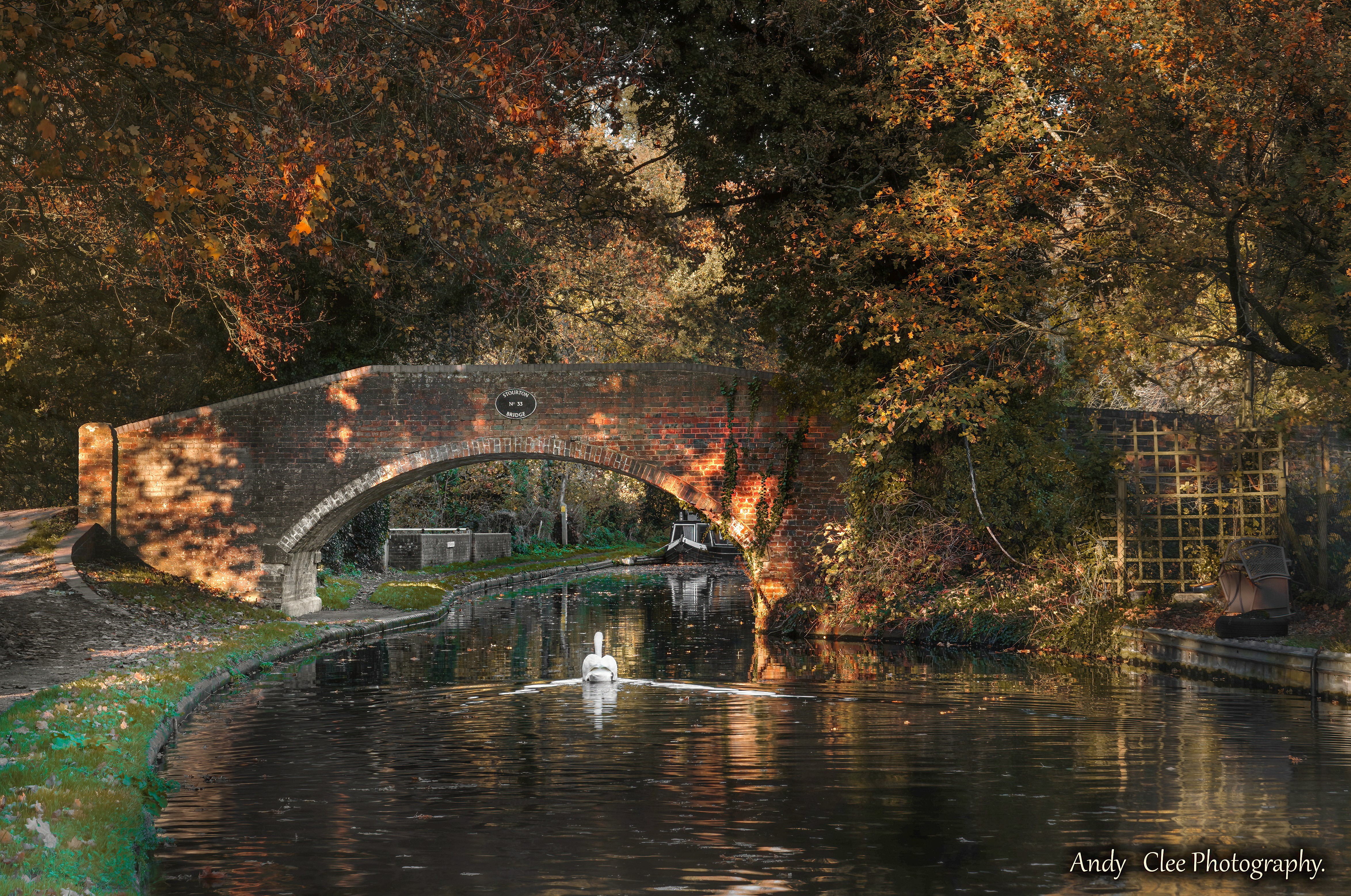 Autumn swan of Stourton